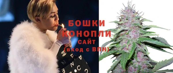 крисы Медногорск