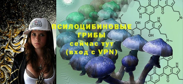 винт Медвежьегорск