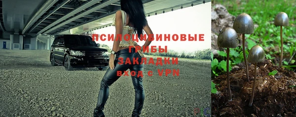 спайс Мегион