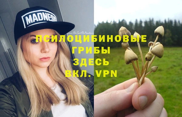 винт Медвежьегорск