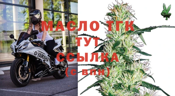 крисы Медногорск