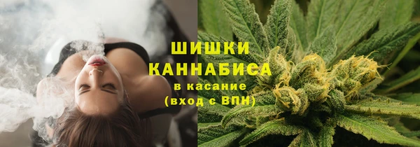 крисы Медногорск